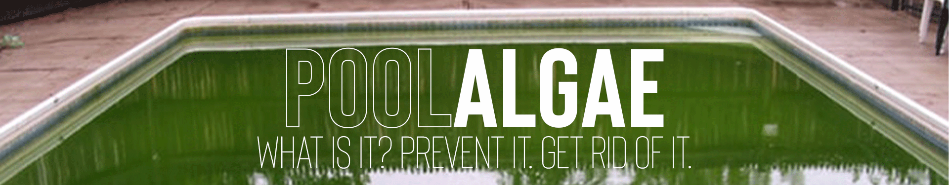 Pool Algae